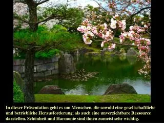 Die Welt braucht wache, reife, informierte und selbstbewusste Hochsensible.