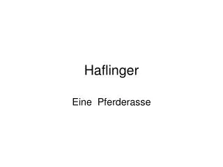 haflinger