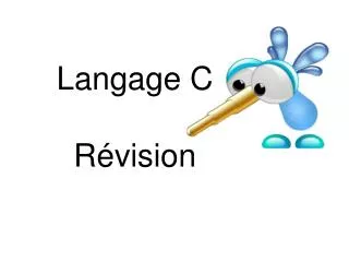 langage c r vision