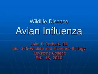 Wildlife Disease Avian Influenza
