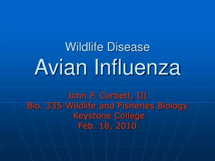 wildlife disease avian influenza