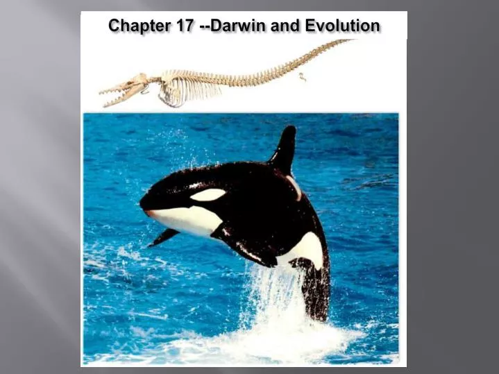 chapter 17 darwin and evolution