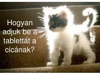 hogyan adjuk be a tablett t a cic nak