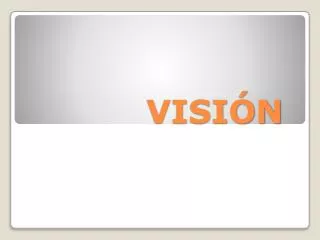 visi n