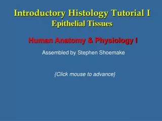 Introductory Histology Tutorial I Epithelial Tissues
