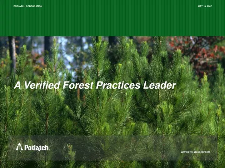 a verified forest practices leader