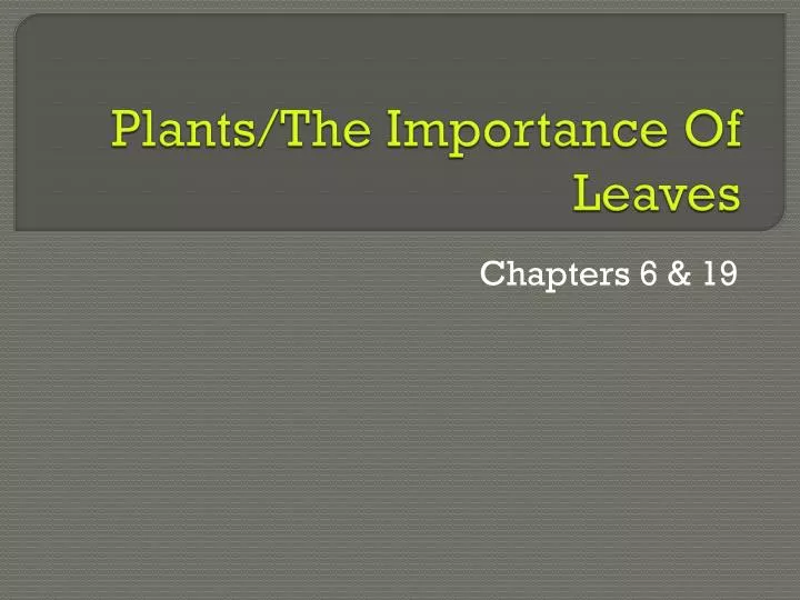 plants the importance of leaves