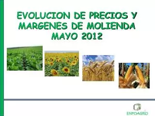 evolucion de precios y margenes de molienda mayo 2012