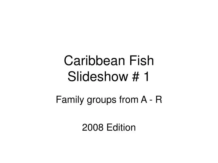 caribbean fish slideshow 1