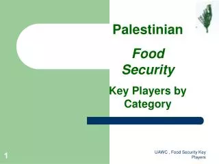 Palestinian Food Security Key Players by Category