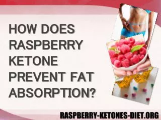 HOW DOES RASPBERRY KETONE PREVENT FAT ABSORPTION?
