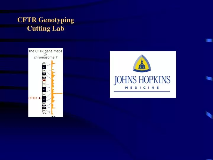 cftr genotyping cutting lab