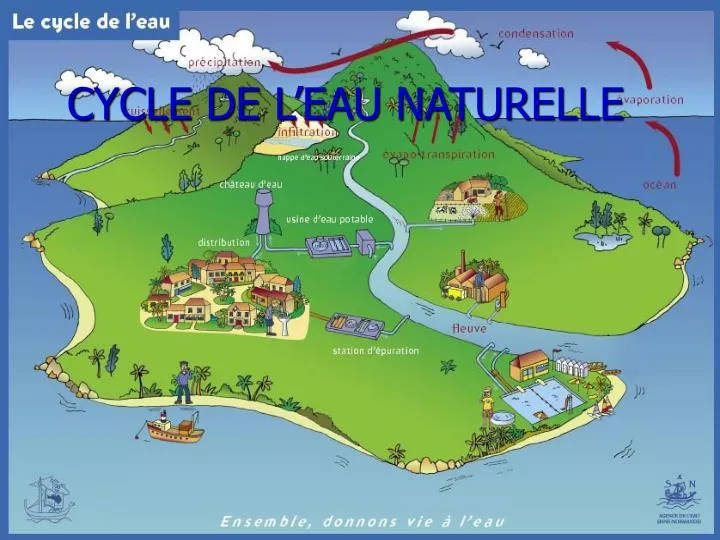 cycle de l eau naturelle