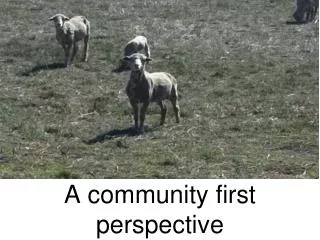 A community first perspective