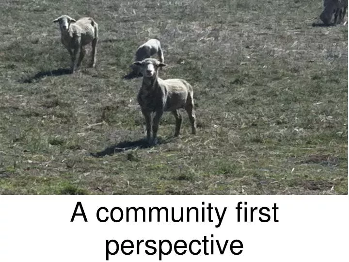 a community first perspective