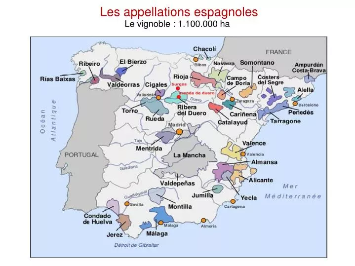 les appellations espagnoles le vignoble 1 100 000 ha