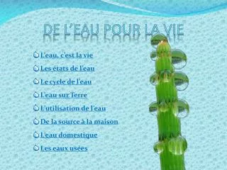 de l eau pour la vie