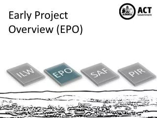 Early Project Overview (EPO)