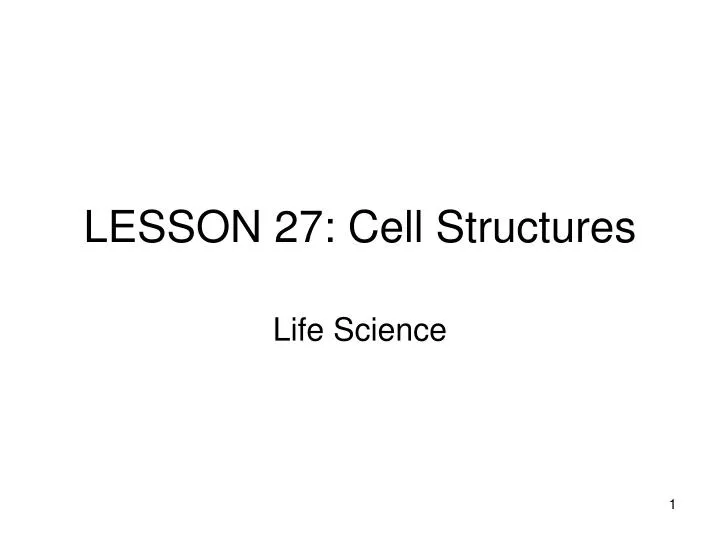 lesson 27 cell structures