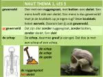 de schop de schep de spade - slide 1