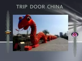 Trip door China