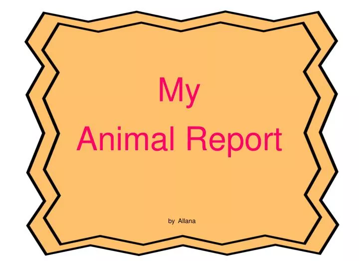 my animal report