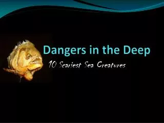 Dangers in the Deep