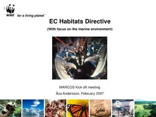 EC Habitats Directive (With focus on the marine environment)