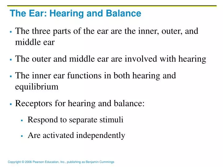 the ear hearing and balance