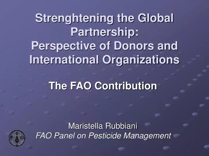 strenghtening the global partnership perspective of donors and international organizations