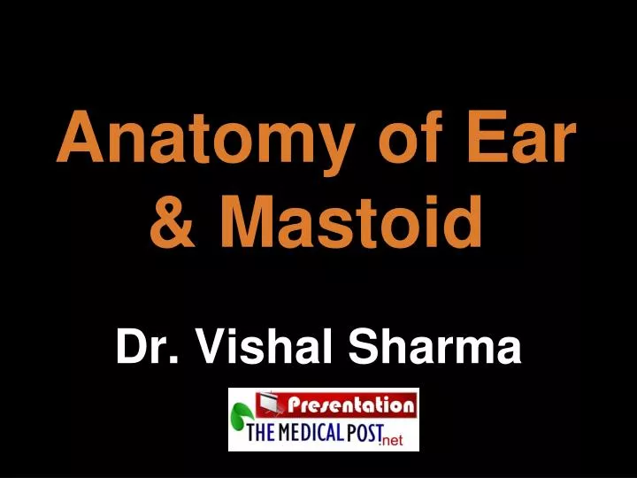 anatomy of ear mastoid