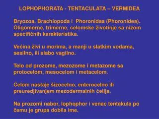 LOPHOPHORATA - TENTACULATA – VERMIDEA Bryozoa, Brachiopoda i Phoronidaa (Phoronidea).