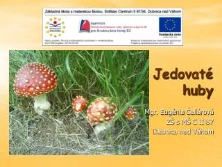 jedovat huby