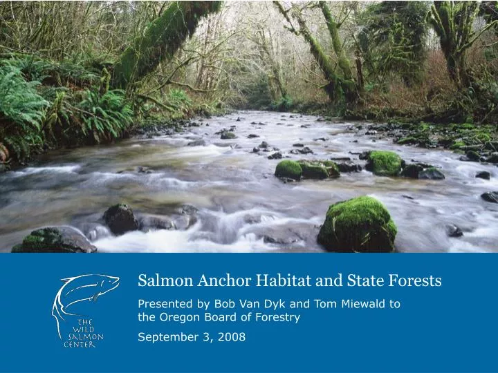 salmon anchor habitat and state forests