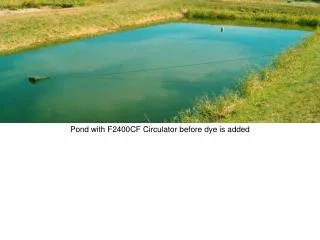 Pond with F2400CF Circulator before dye is added