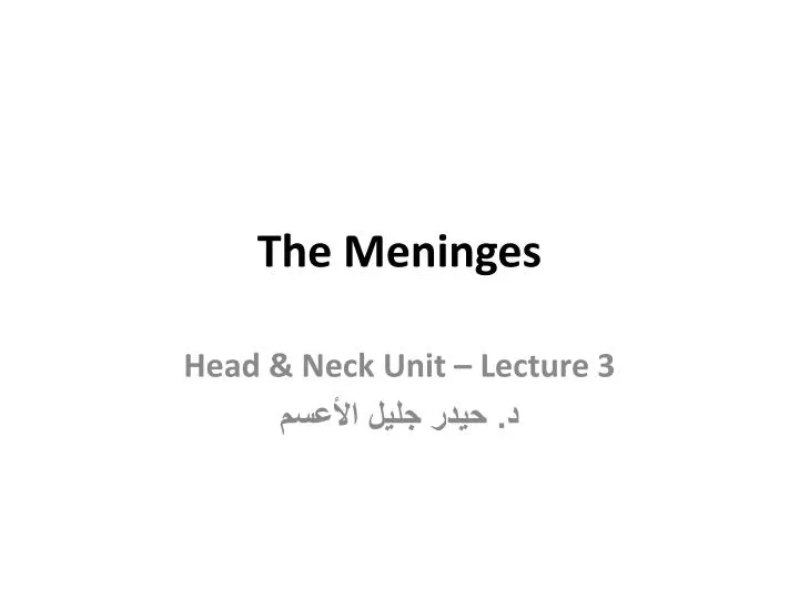 the meninges