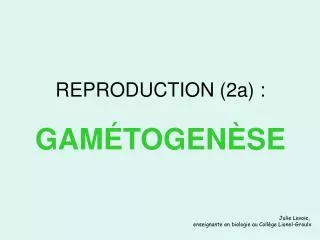 reproduction 2a gam togen se