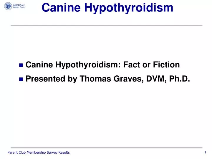 canine hypothyroidism