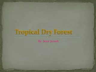 Tropical Dry Forest