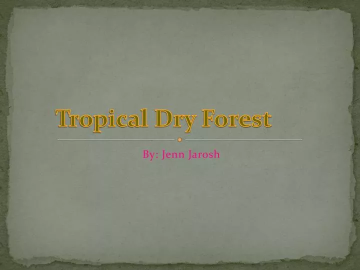 tropical dry forest