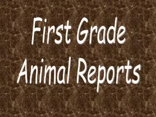 First Grade Animal Reports