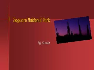 Saguaro National Park