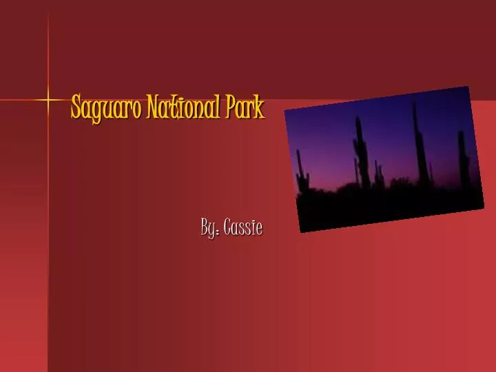 saguaro national park