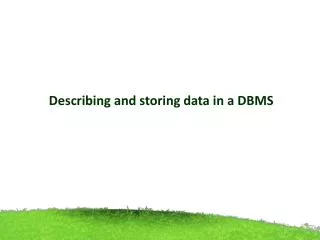 Describing and storing data in a DBMS