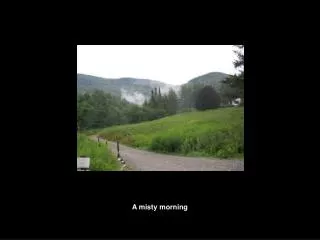 A misty morning