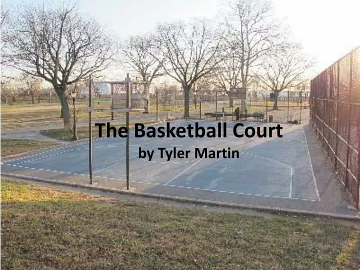 the basketball court by tyler martin