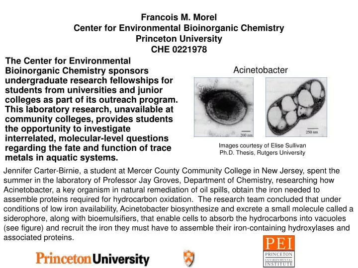 francois m morel center for environmental bioinorganic chemistry princeton university che 0221978