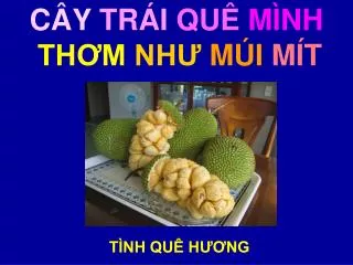 c y tr i qu m nh th m nh m i m t