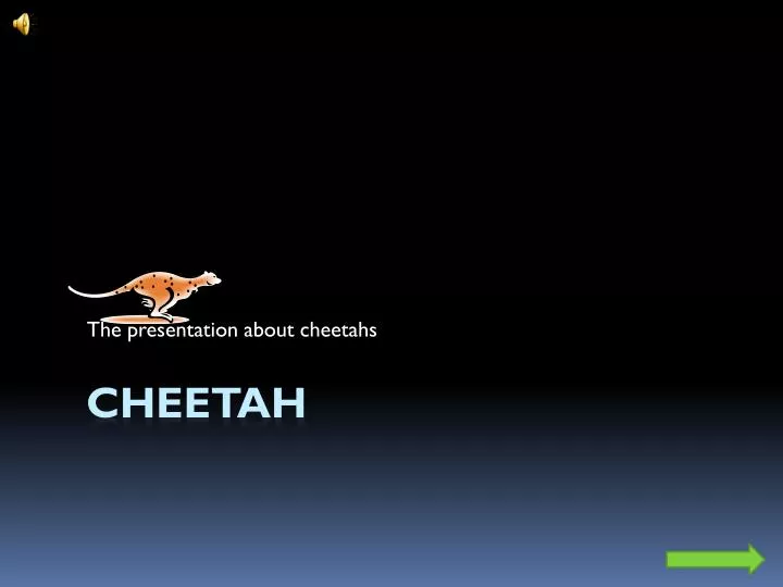 the presentation about cheetahs