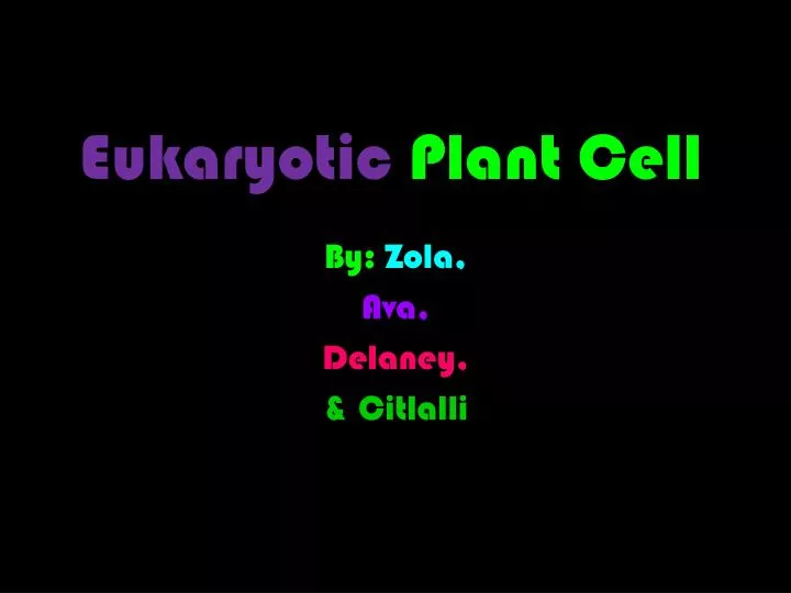 eukaryotic plant cell c